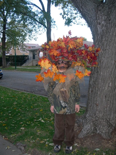 Tree