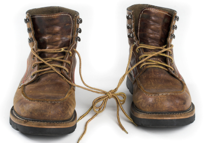 Joe's boots