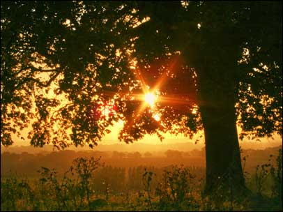 sunrise