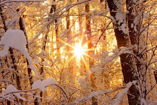 Winter Sun