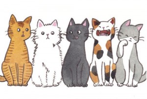 cat day