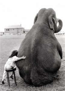animal-love-in-black-white