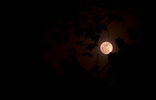 May 5-Super Moon