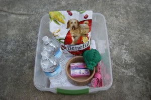 emergency kit for dogs