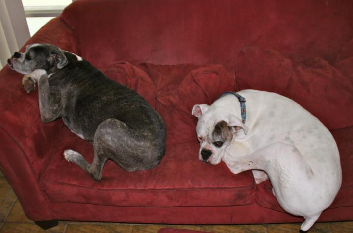 Peetey and seemore