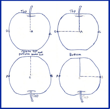 apple-carving-diagram