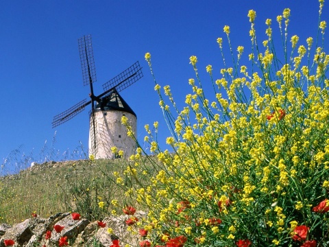 Spain