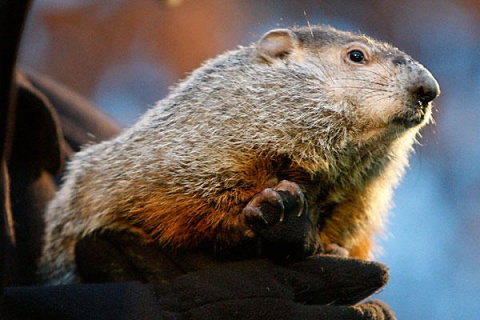 Groundhog-Day-